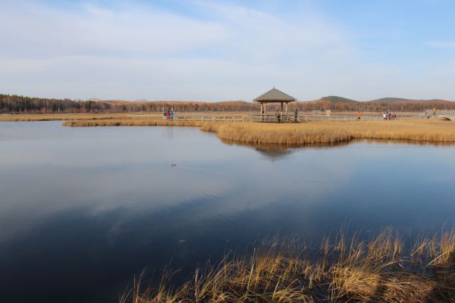 十一去承德塞罕坝和内蒙古乌兰布统,木兰围场--五彩缤纷!(2015-10-6.