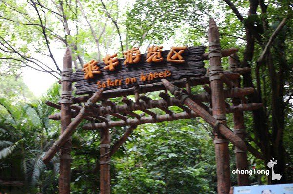 小火车来了~ 我们坐的这一趟应该是4点的。 跑到站台的时候已经很多人在排队了,每一排座位都有对应的排队口,小火车共4节车厢,每排座位可以坐3-4个人。我们选择排在第四节车厢,事实上,个人觉得第二、第三节车厢可能会好一点。因为每到一个动物区,小火车都会放慢速度或者停下来给游客拍照,大约是停30秒到1分钟,但是全程是不能下车的。而坐在最后面的话,有可能都还没有到达动物展区最佳观看范围,只能远远看到!!! 当然,待会开动的时候还是会经过,那想拍照的就要随时准备抓拍啦~ 以下都是50mm定焦所拍,基本上在小火车上