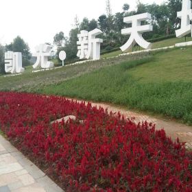 凯光新天地新余国家亚热带植物园