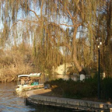 大明湖的夏雨荷_大明湖一年收入多少钱(2)