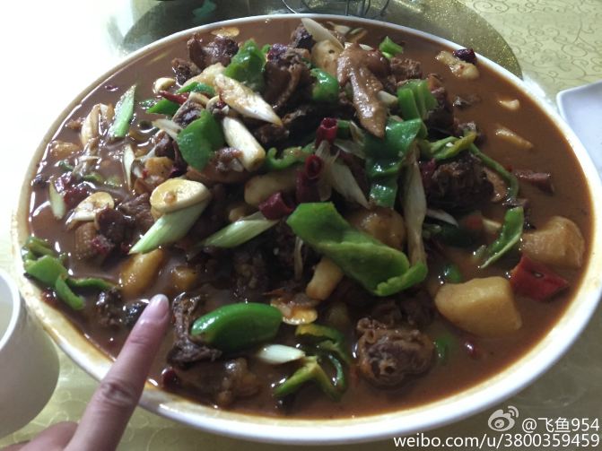 新疆喀纳斯金秋逍遥游 - 喀纳斯游记攻略