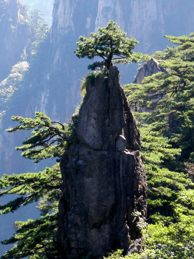 八月黄山厦门上山下海游