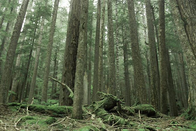 一州两世界,一雨雷妞山 - 美国游记攻略