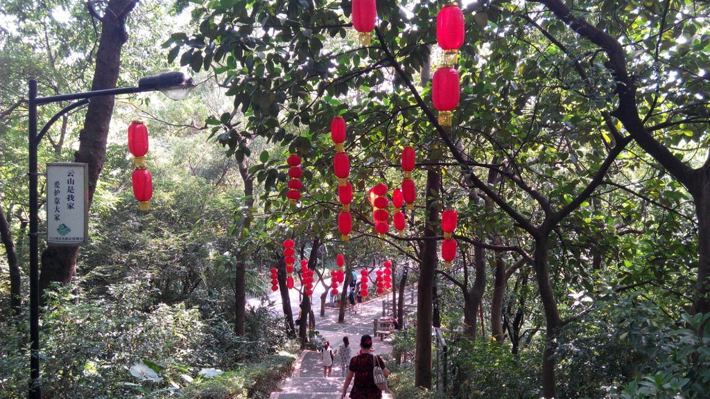 河南旅游攻略指南? 携程攻略社区! 靠谱的旅游攻略平台,最佳的河南自助游、自由行、自驾游、跟团旅线路,海量河南旅游景点图片、游记、交通、美食、购物、住宿、娱乐、行程、指南等旅游攻略信息,了解更多河南旅游信息就来携程旅游攻略。