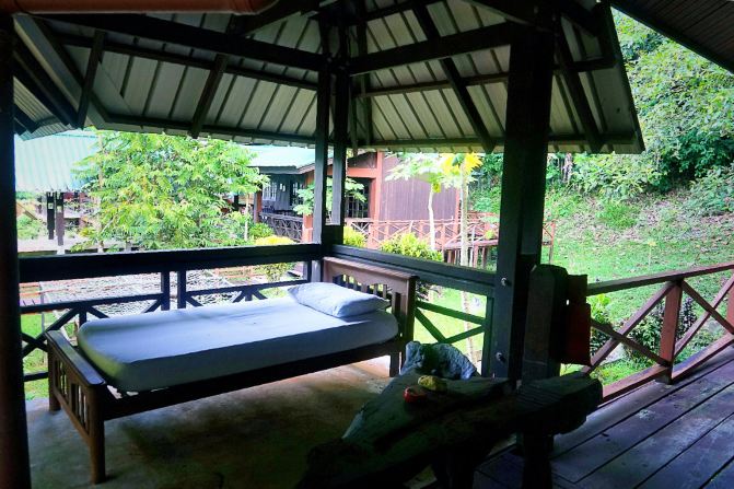 #随手拍#文莱Ulu Temburong国家森林公园 - 辽