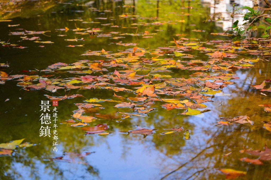 花开一季,草木一秋,一生很多风景都会褪色。 能够触摸并感受到的,也许只是记忆中的余温。 如烟往事旖旎而落,在光阴的禅意里散出淡淡的香气, 不再奢求什么,珍惜眼前所拥有的一切,只愿花开无语,从容绽放。 泉港涂岭油菜花 出镜@妈妈姓夏 旅行、摄影微博@吴秋煌微信:wuqiuhuang123 听说泉港的一年一度的猪脚节就要开始,对了一名吃货来说,怎么可以错过这样的节日。立马查了一下车票,从家里长汀南出发到厦门,在厦门和几个朋友包车前往泉港吃猪脚了,还有今年看到的最早的油菜花。 【旅行目录】: Day1:第六届涂