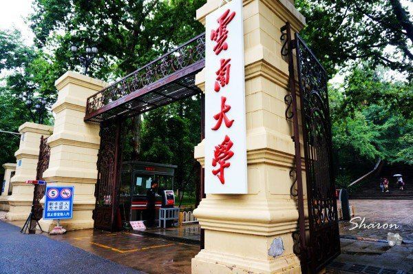 云南大学