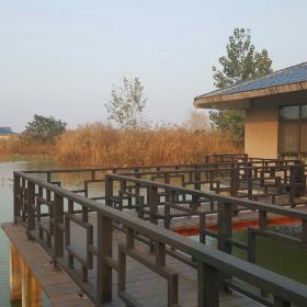 泗洪洪泽湖湿地公园_泗洪湿地公园门票收入(2)