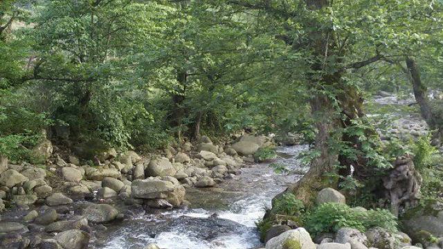 炎井温泉 4分 (2条点评) 8 炎井温泉旅游风景区坐落全州县大西江镇