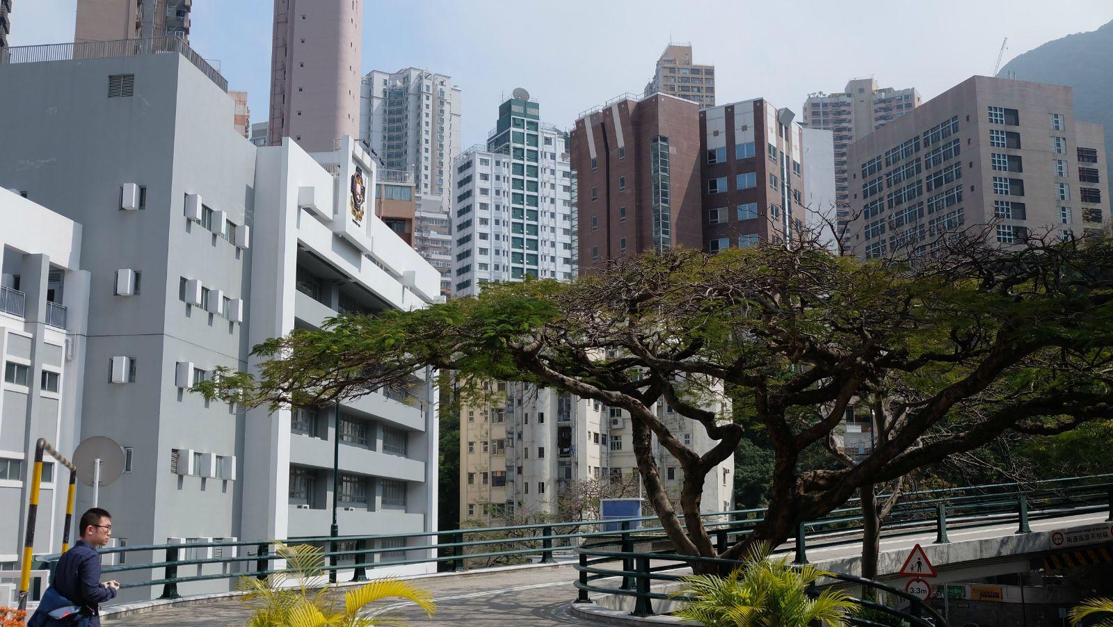 香港大学