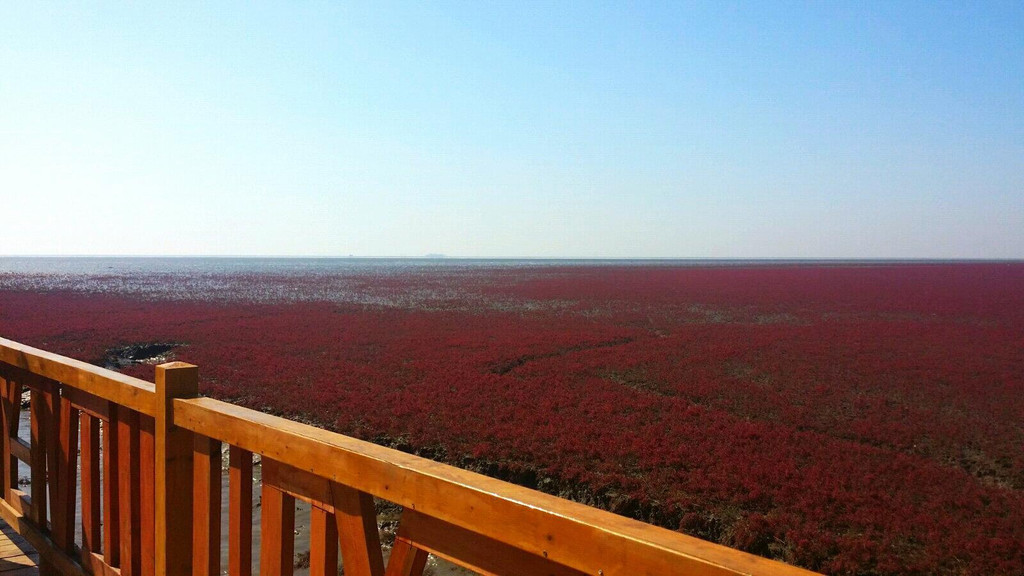 盘锦红海滩风景区