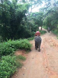 【携程攻略】普吉岛普吉 ATV越野车+山顶大佛