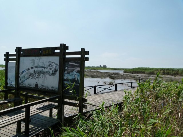 上海园林一日游之—崇明西沙国家湿地公园(七夕特集)