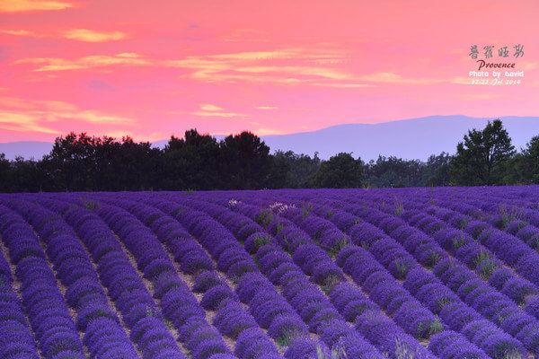 醉心食色--自驾尼斯、普罗旺斯、阿尔勒,巴塞罗