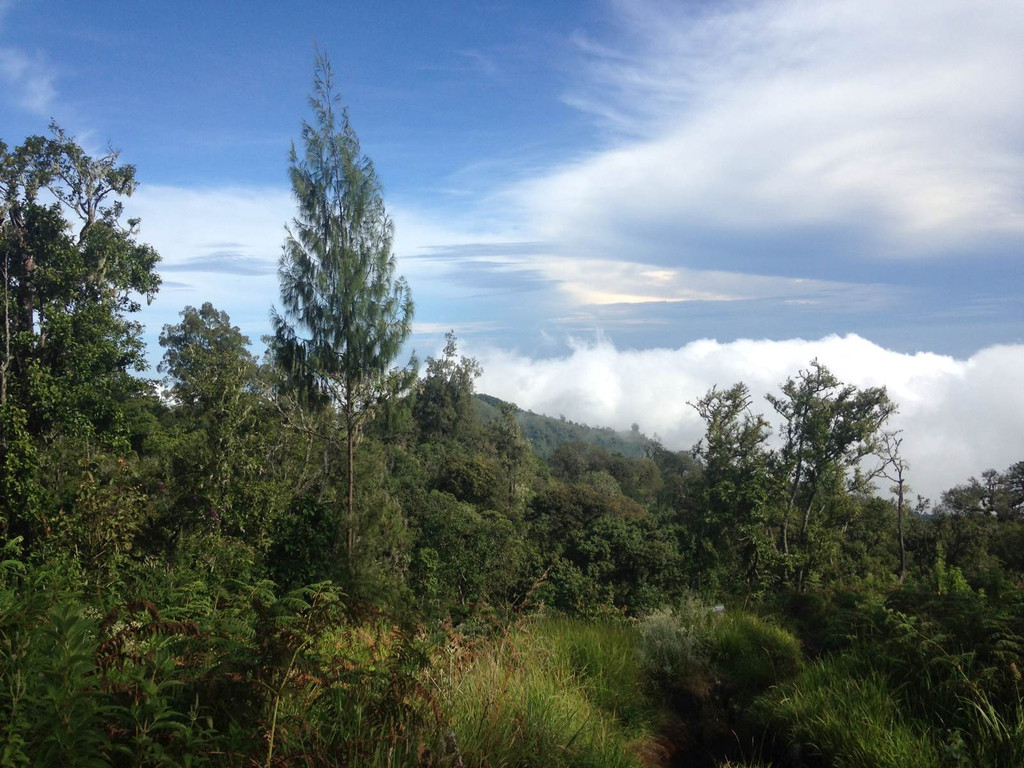 印度尼西亚龙目岛(林查尼火山 kuta)