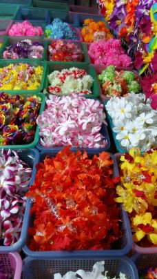 【携程攻略】曼谷帕蓬夜市图片,曼谷帕蓬夜市