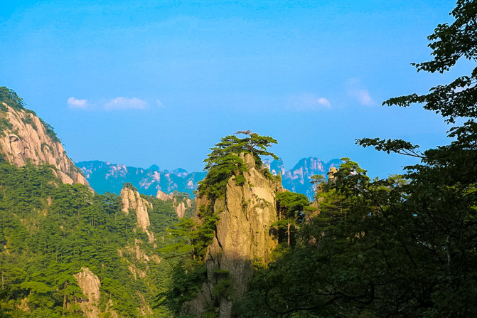 黄山-与你亲近在夏季