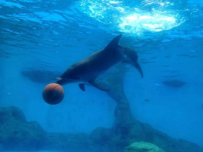 三个人的旅行,珠海长隆海洋王国亲子游 - 珠海