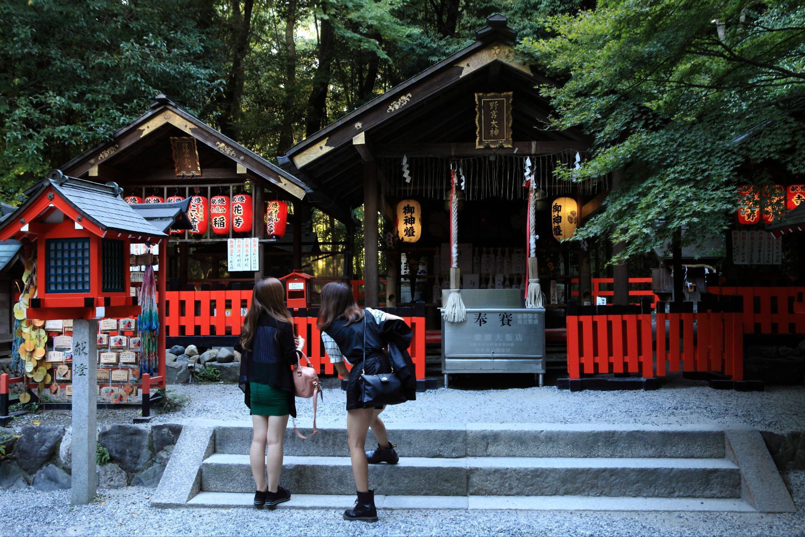 京都野宫神社