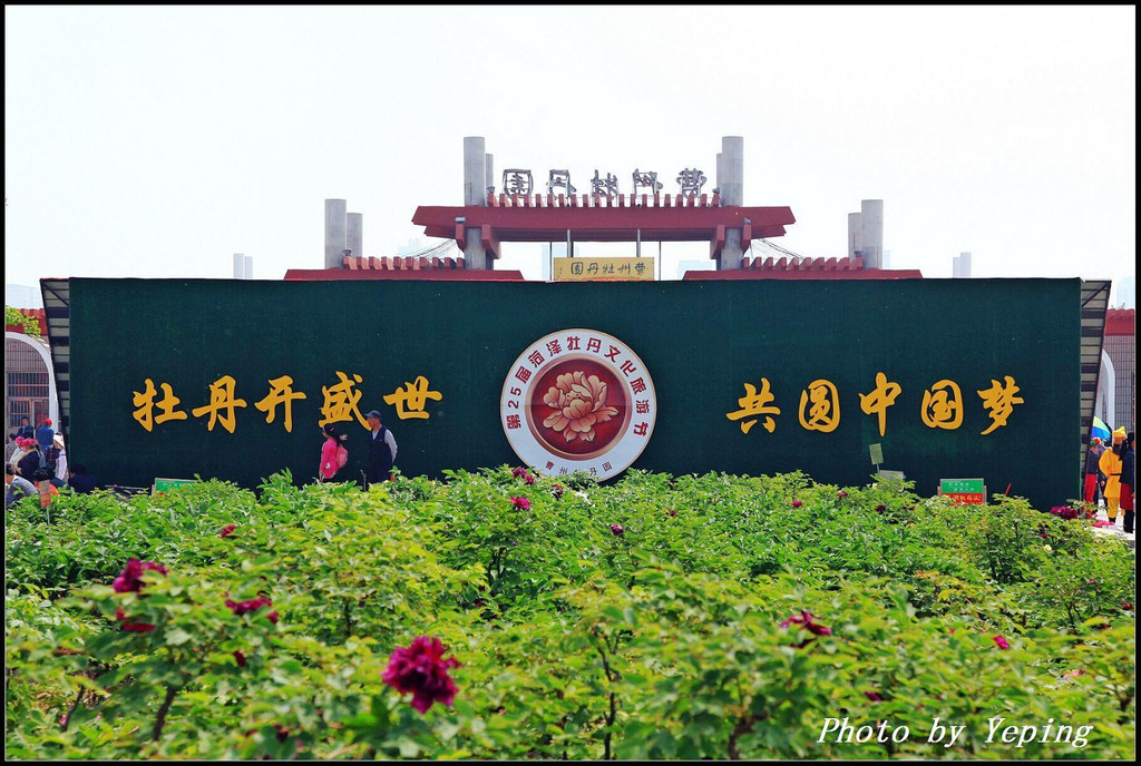 好客山东:菏泽牡丹都