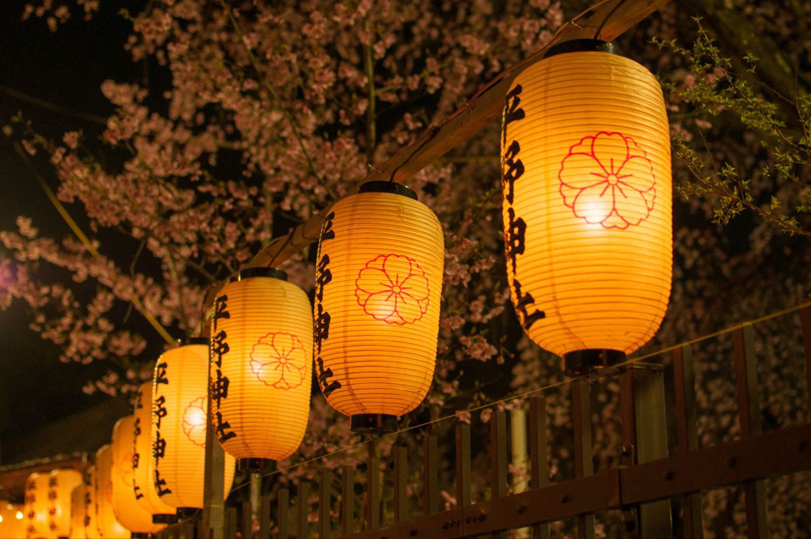 神社外围搭了很多帐篷搞得像小吃夜市,有很多长桌子,日本本地人来聚会