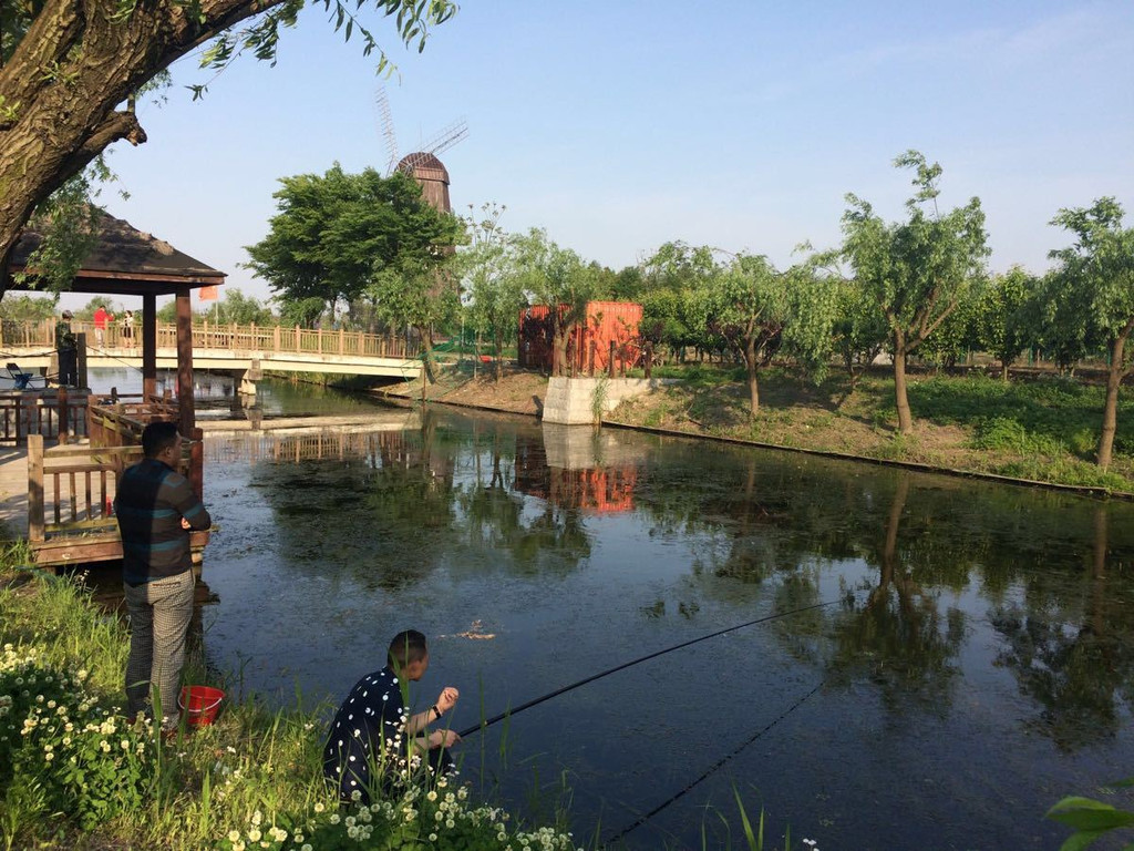 红包我最大#在家门口的沈湖生态农庄闲滗夏日