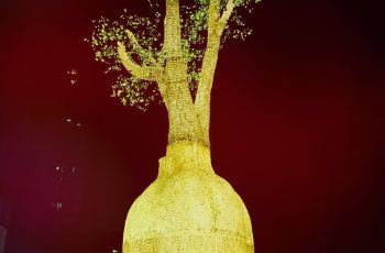 【携程攻略】南京南京国际购物广场购物攻略,