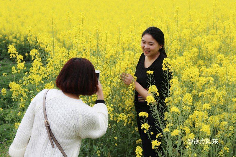两位女孩在南郑的油菜花海拍照