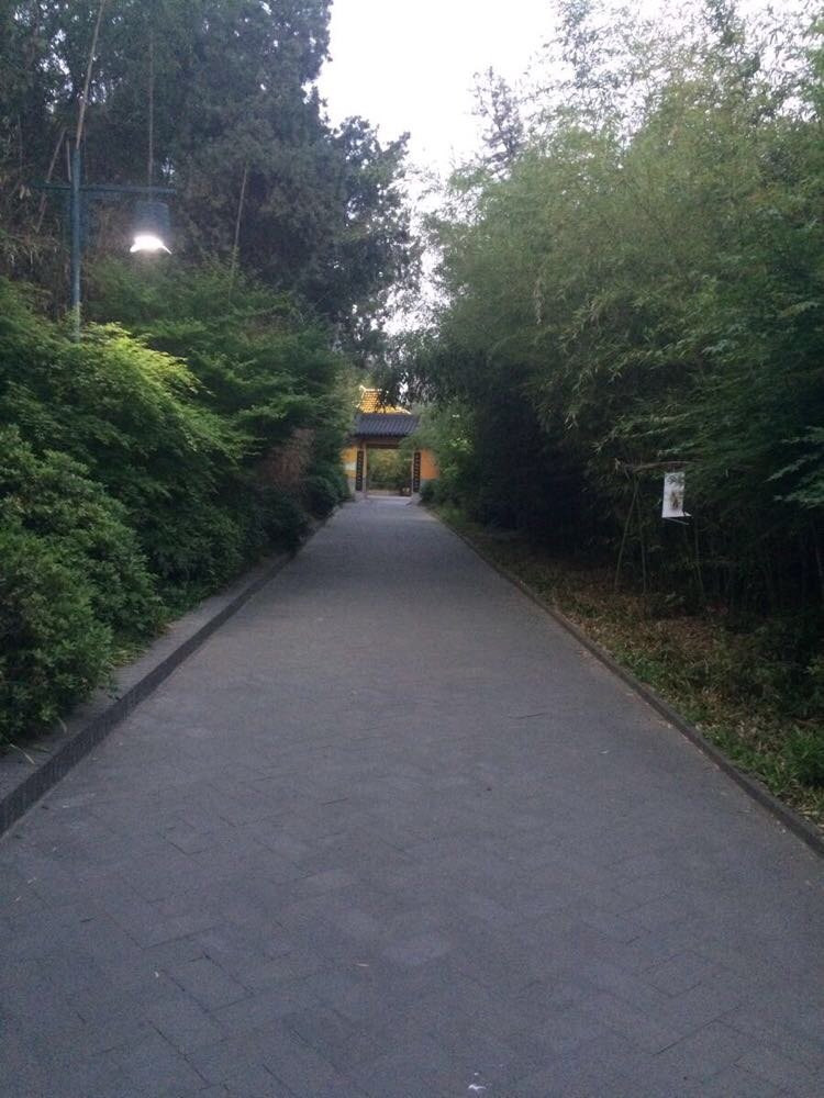 骆驼山竹林寺