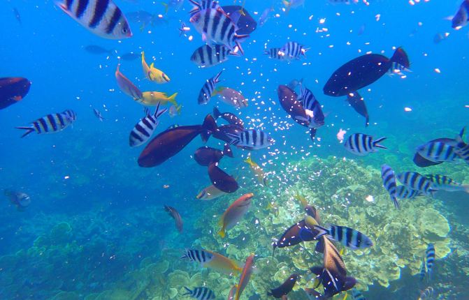 七彩帛琉---帕劳群岛 - 帕劳游记攻略