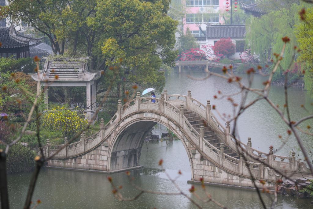 心动春之旅#清明时节,烟雨江南游太仓