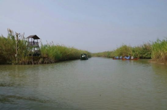 泗洪洪泽湖湿地公园_泗洪湿地公园门票收入(3)