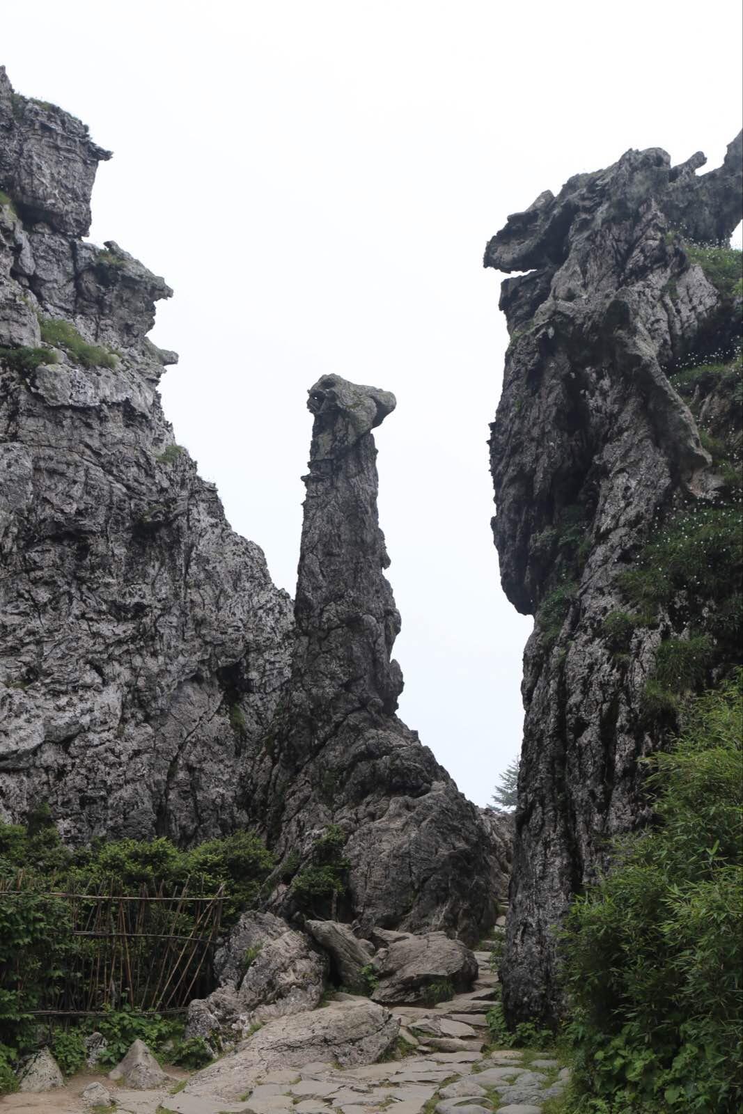 板壁岩石林,灵蛇出洞 板壁岩