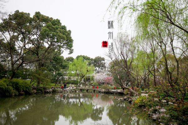 春天的江南就是多彩的,可惜一张图片很难全部衬托出来