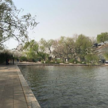 大明湖的夏雨荷_大明湖一年收入多少钱(3)