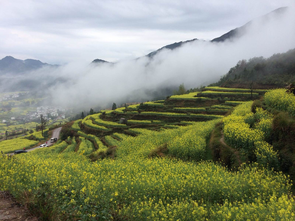 江岭景区