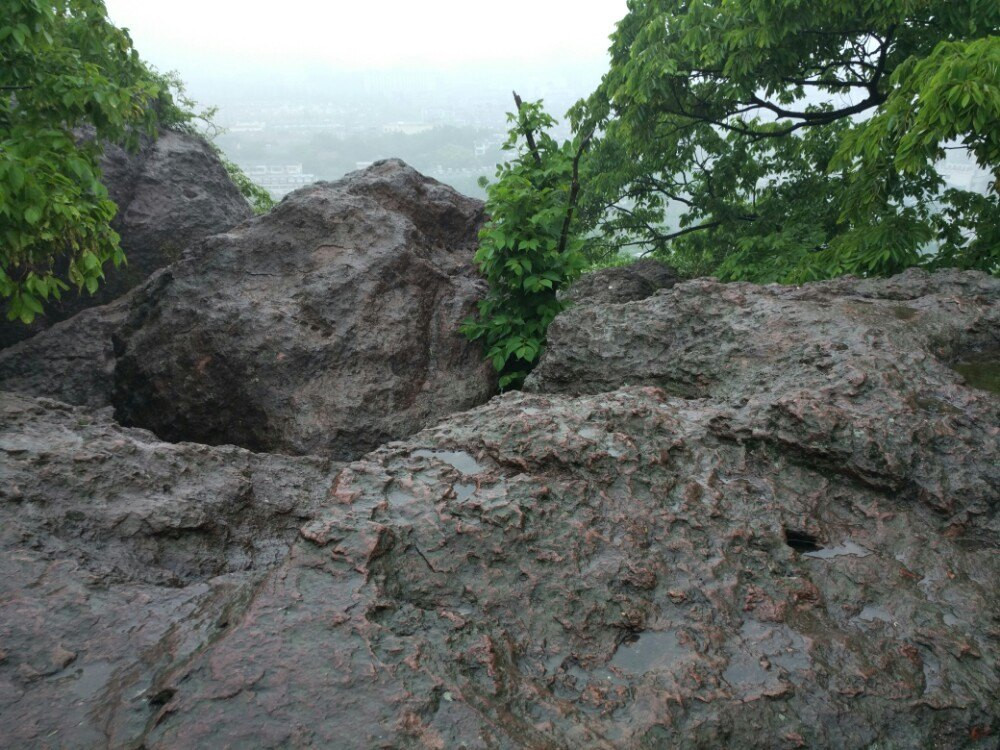 杭州宝石山宝淑塔,蛤蟆峰,玛瑙寺,西湖