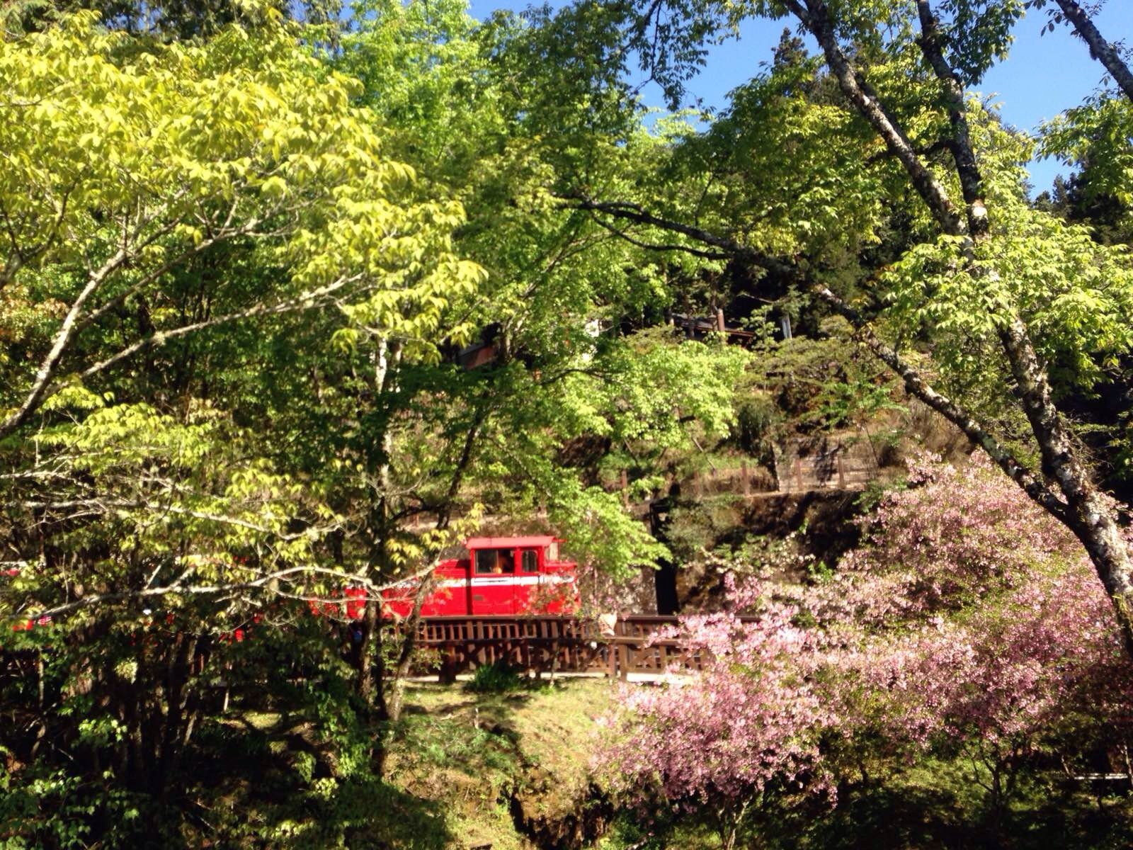 阿里山