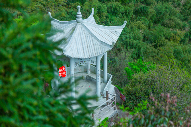 闻香识余姚,花美四明山