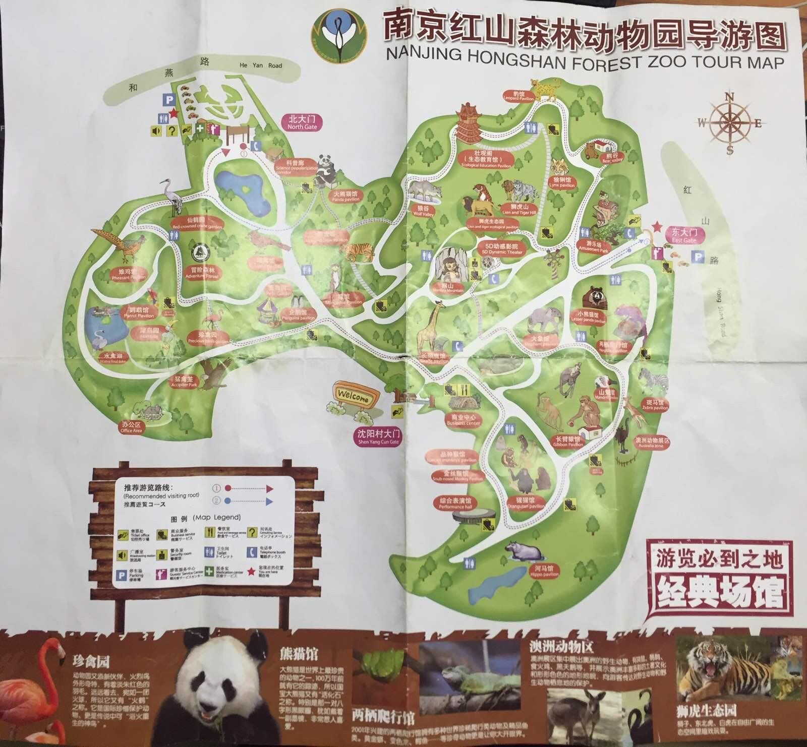 地图!珍贵哦 红山森林动物园