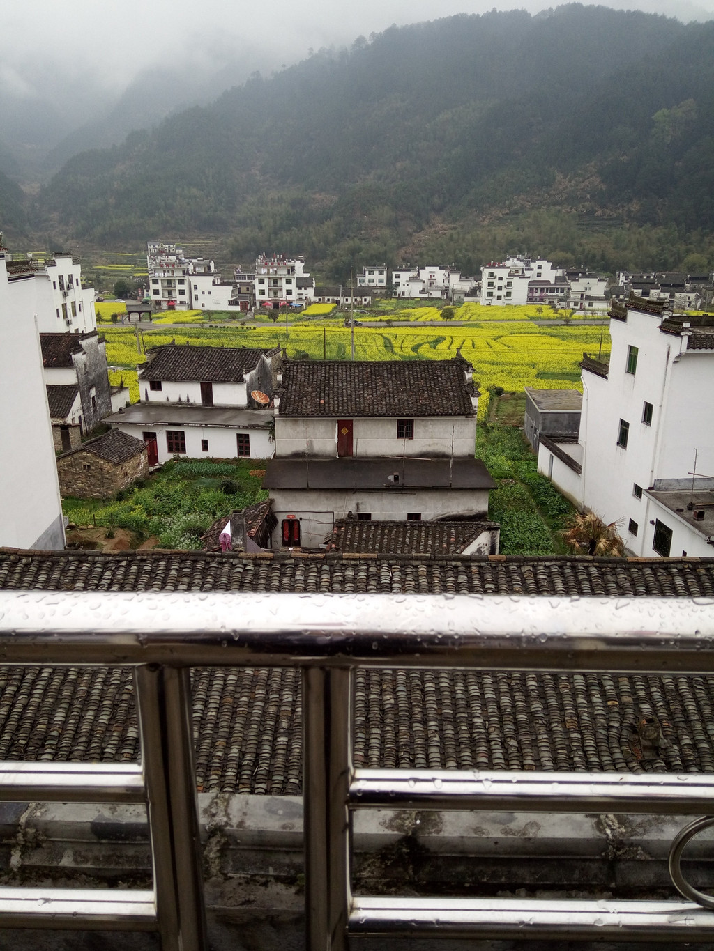 江岭景区住宿就去婺源江岭萧江宾馆吧