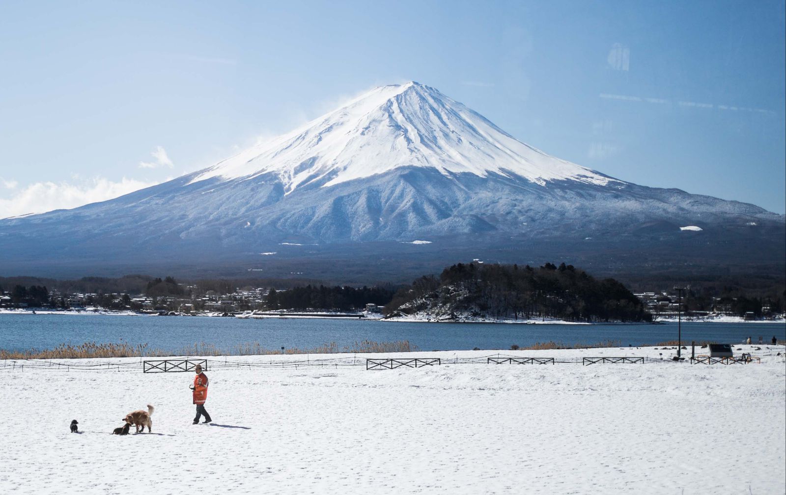 上一次很幸运的看到的富士山的全貌 东海道新干线