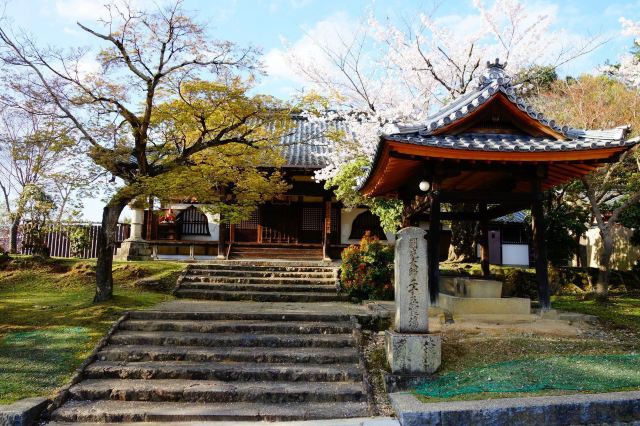 东大寺后门小景 奈良,东大寺