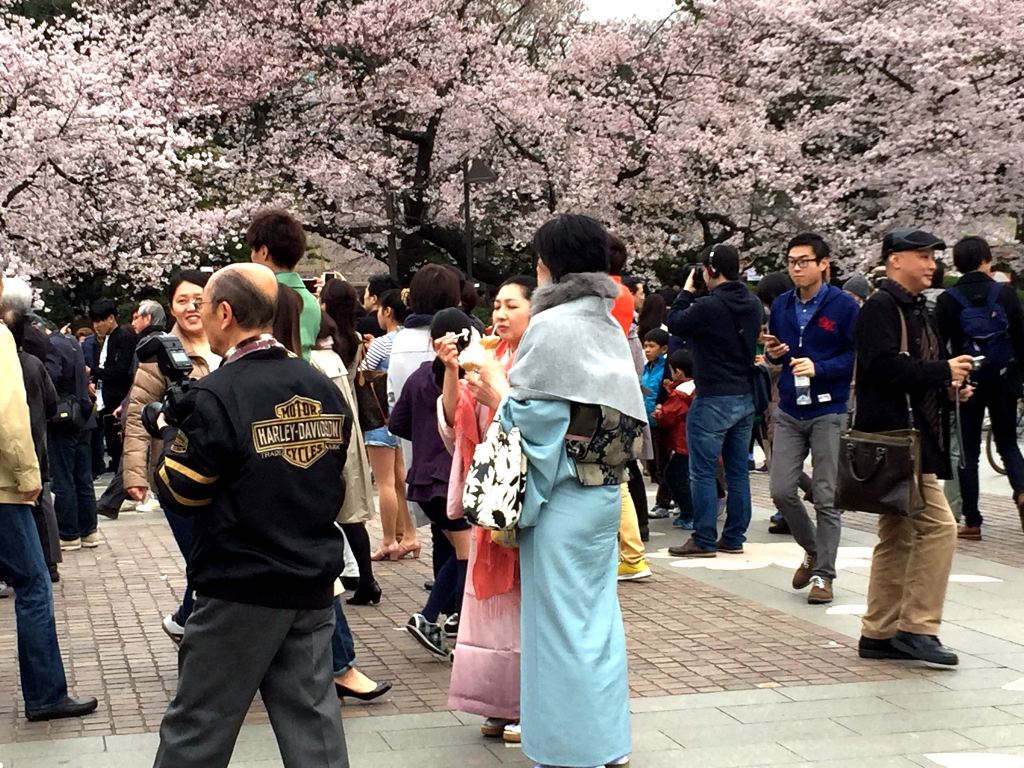 著和服赏樱的日本女人似乎更适合樱花的性情.