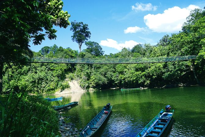 #随手拍#文莱Ulu Temburong国家森林公园 - 辽