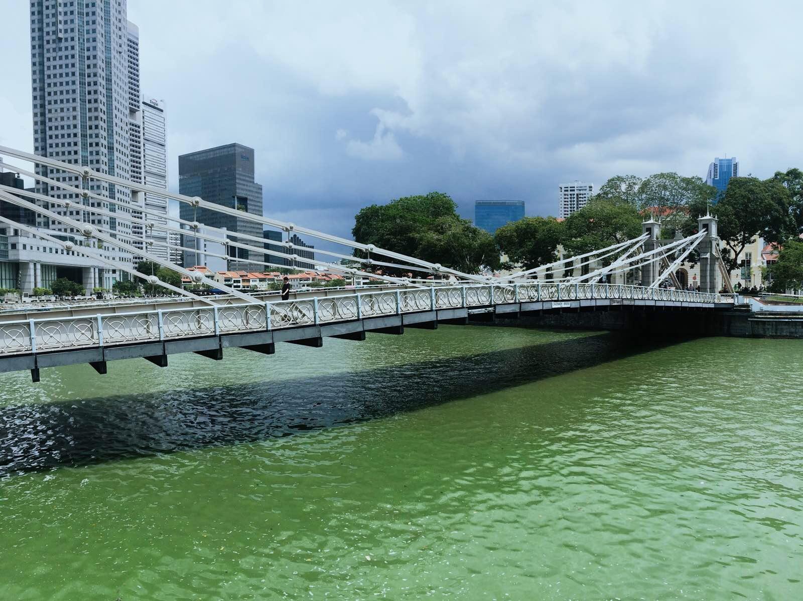 加文纳桥cavenagh bridge: 是新加坡河上新加坡唯一的悬索桥.