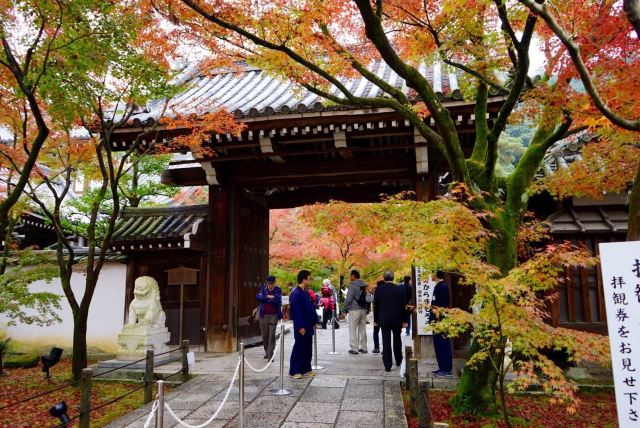 京都永观堂禅林寺