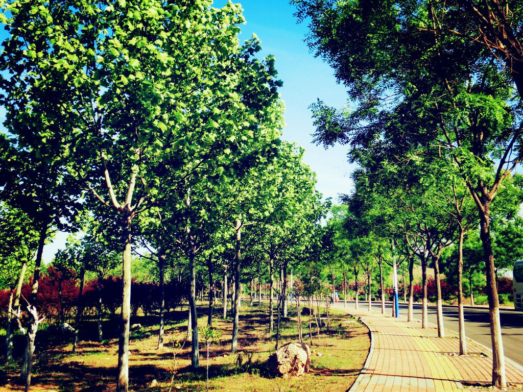 毕业季·山东财经大学