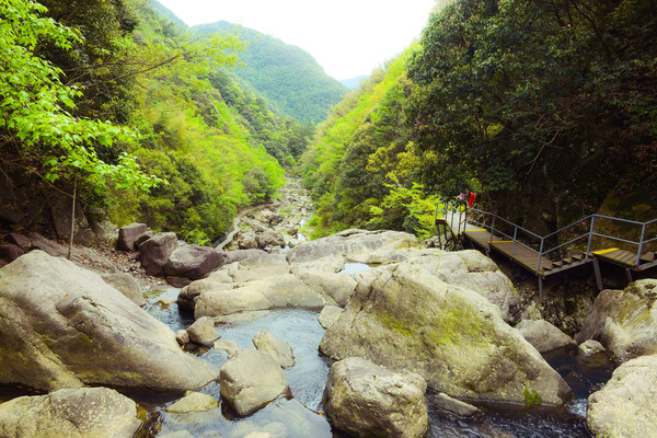 心动春之旅#赏四明美景,寻最美余姚