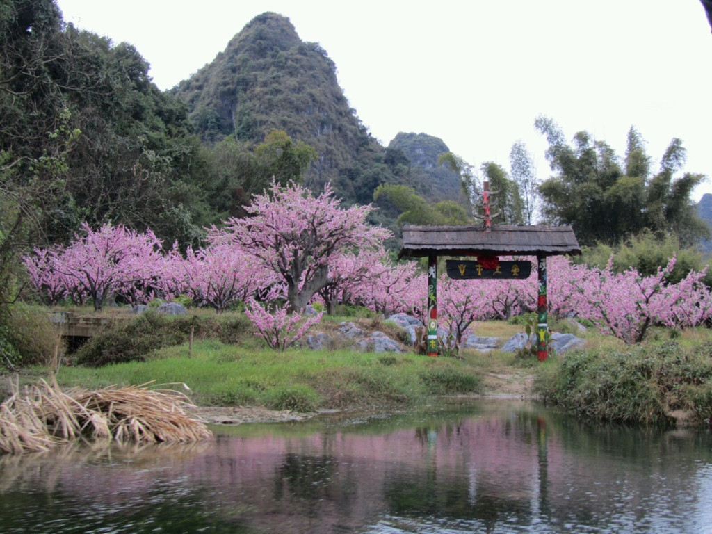 世外桃源是阳朔按陶渊明的桃花源记在城外选址建造的人工与自然结合的